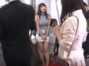 通勤OL×電車痴漢｜嫌がる巨乳OLを車内でハメ犯す鬼畜男