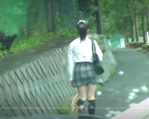 制服ひよこJK×野外輪姦｜帰宅途中のアウロリ少女を拉致してひと気の無い場所でやりたい放題に強姦する